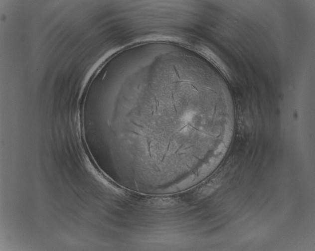X0000074031092200608281413