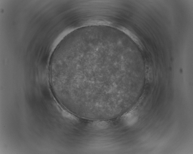 X0000074031094200608281413