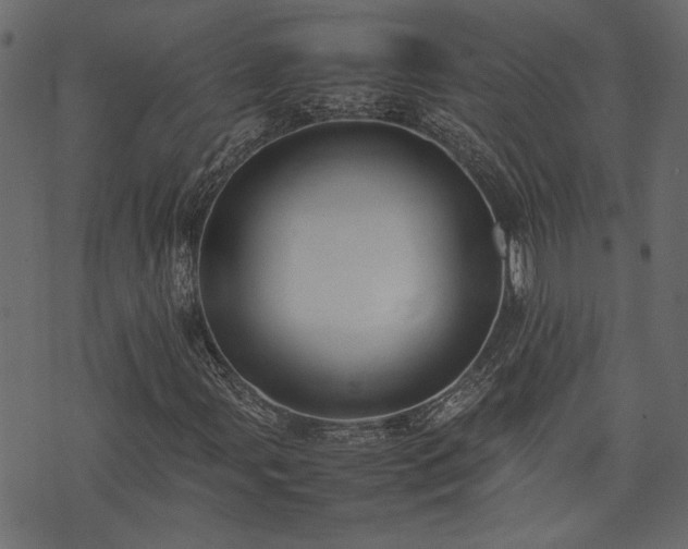 X0000074031107200608281413