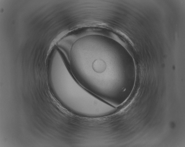 X0000074031114200608281413