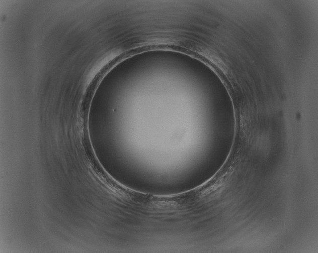 X0000074031119200608281413