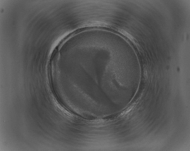 X0000074031120200608281413