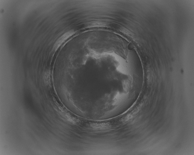 X0000074031121200608281413