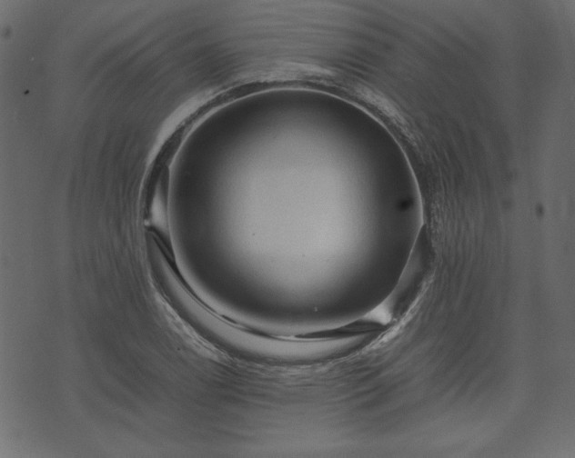 X0000074031122200608281413