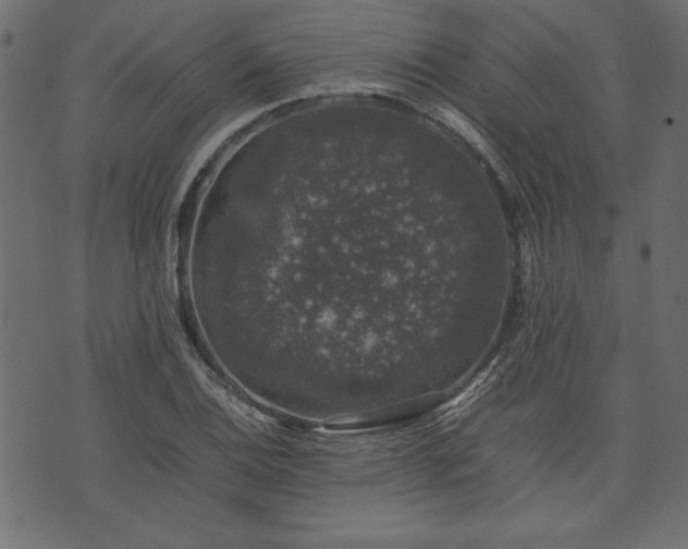 X0000074031124200608281413