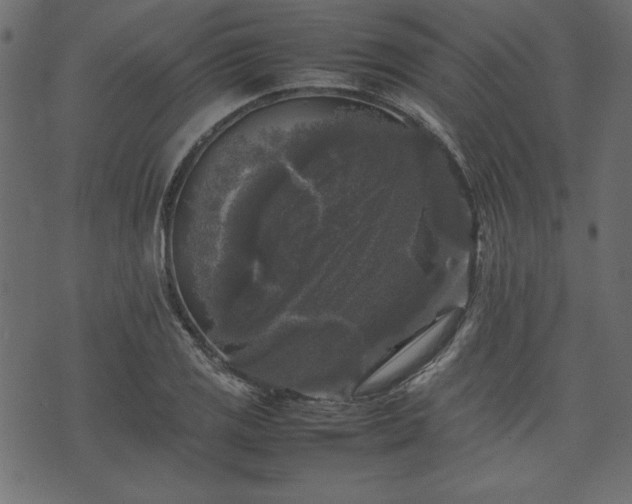 X0000074031125200608281413