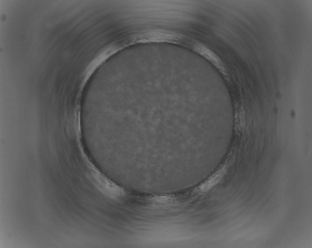 X0000074031130200608281413
