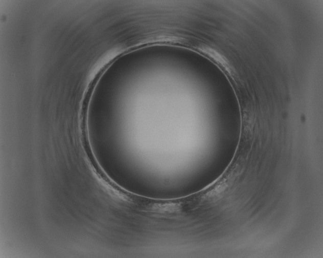 X0000074031135200608281413
