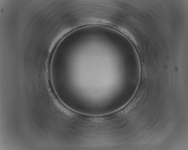 X0000074031136200608281413