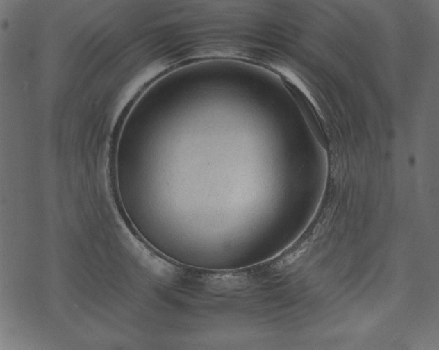 X0000074031139200608281413