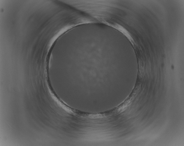 X0000074031142200608281413