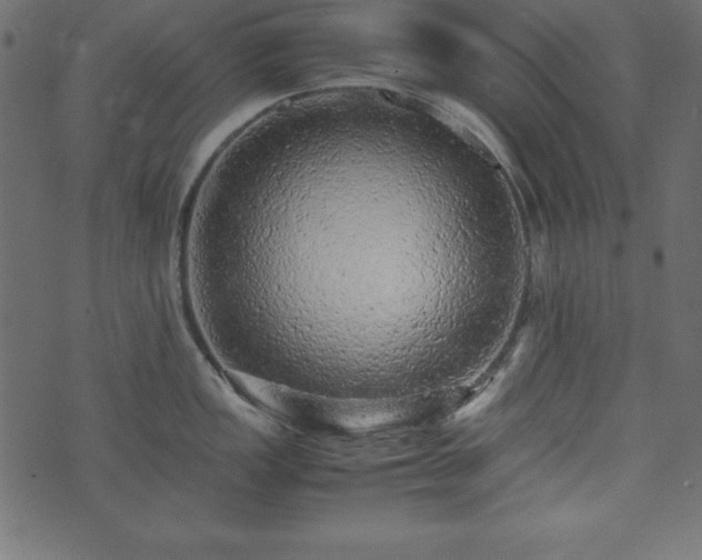X0000074031149200608281413