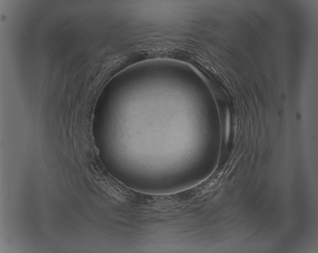 X0000074031153200608281413