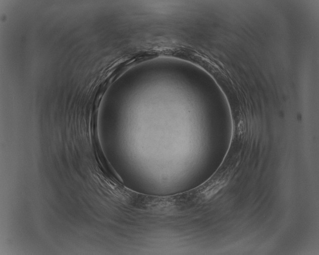 X0000074031156200608281412