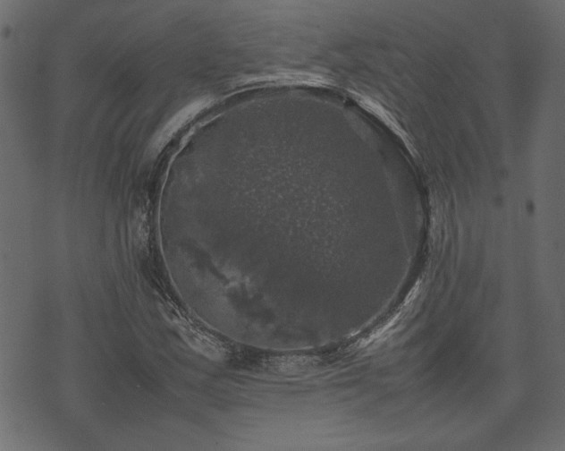 X0000074031163200608281412