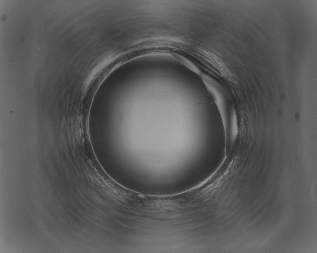X0000074031164200608281412
