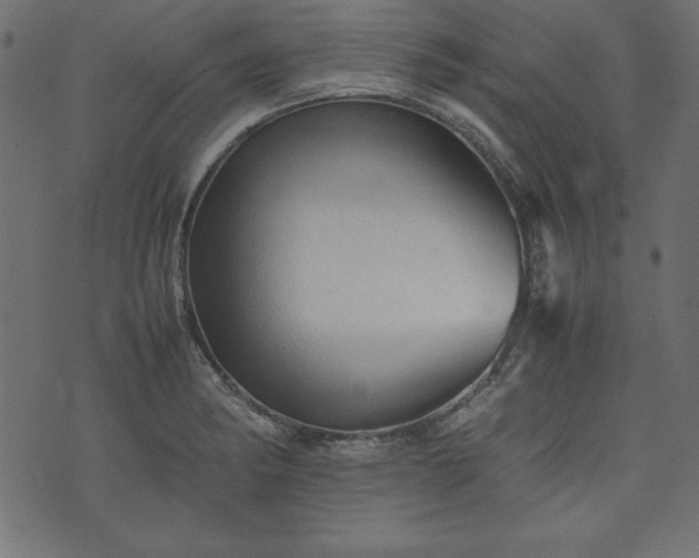 X0000074031182200608281412