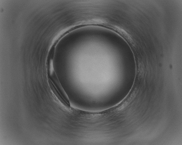 X0000074031184200608281412