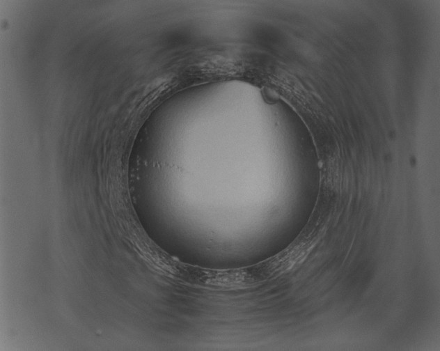 X0000074031201200608281411