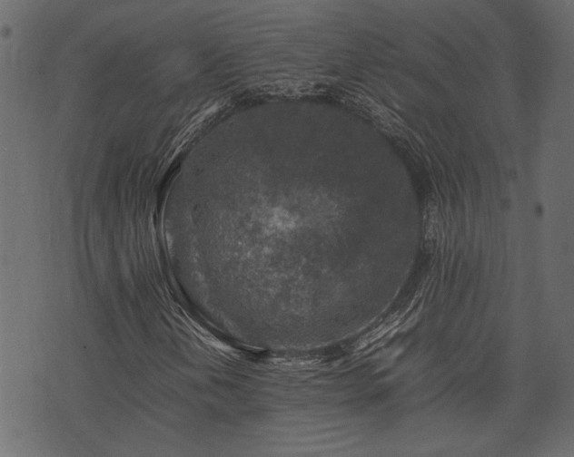 X0000074031202200608281411