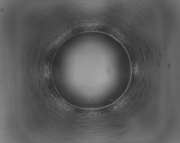 X0000074031204200608281411