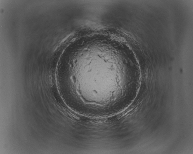 X0000074031205200608281411