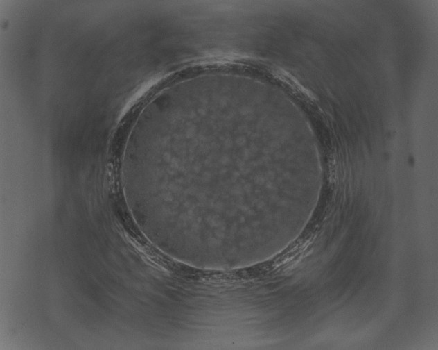 X0000074031208200608281411