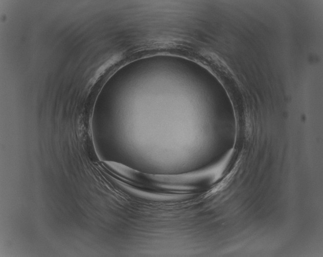X0000074031210200608281411