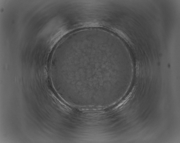 X0000074031212200608281411