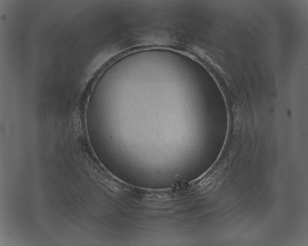 X0000074031215200608281411