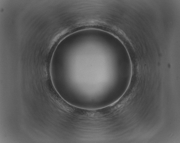 X0000074031218200608281411