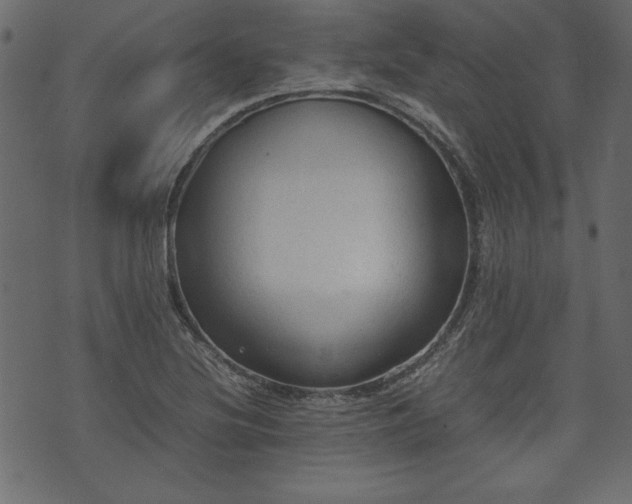 X0000074031220200608281411