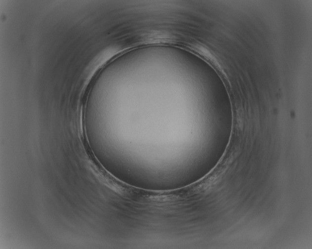 X0000074031227200608281411