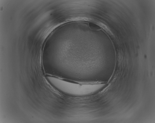 X0000074031228200608281411