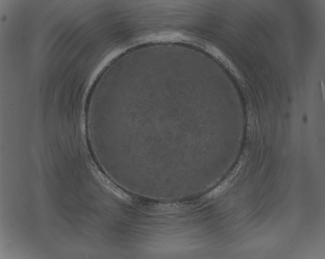 X0000074031232200608281411