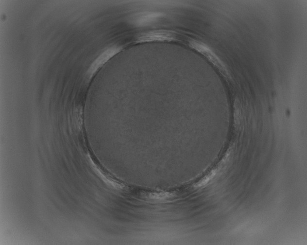 X0000074031233200608281411