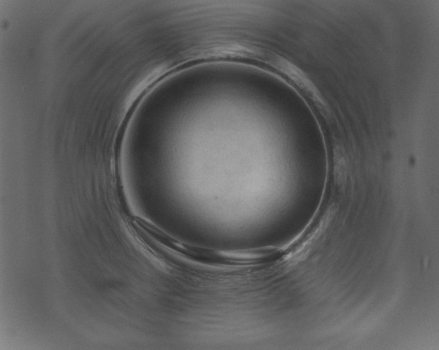 X0000074031234200608281411