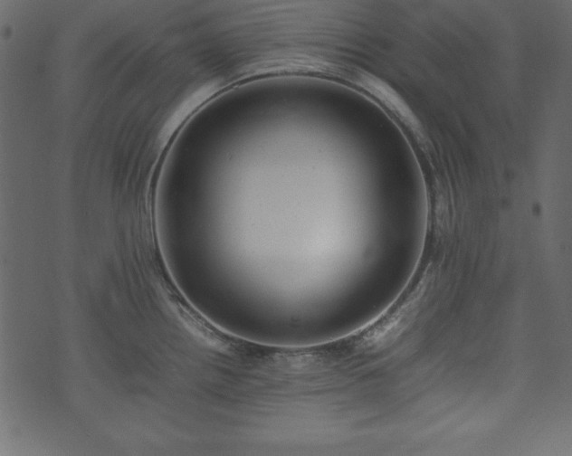 X0000074031242200608281412
