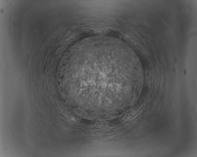 X0000074031249200608281411