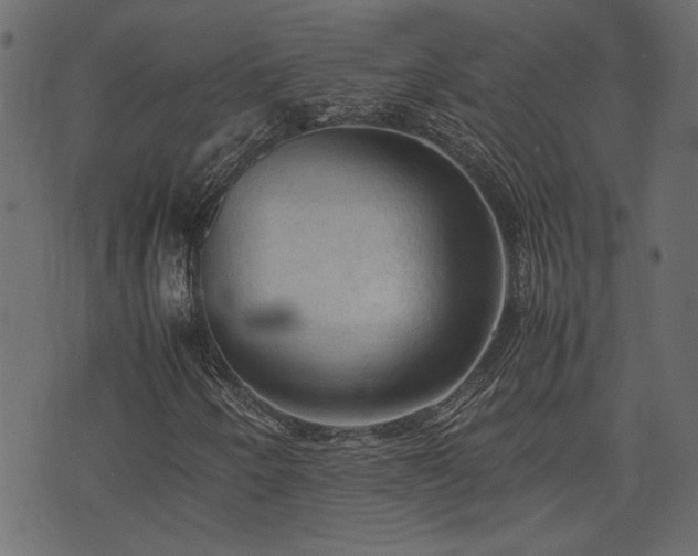 X0000074031250200608281411