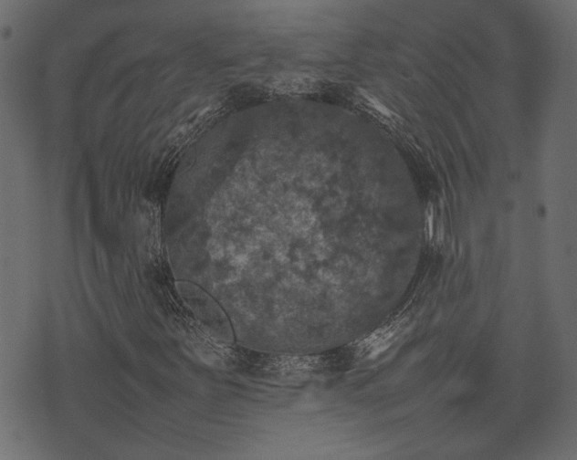 X0000074031251200608281411