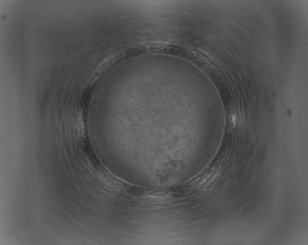 X0000074031252200608281411