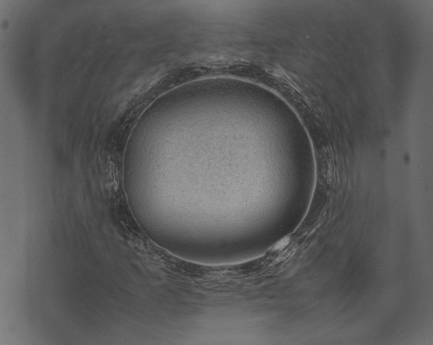 X0000074031253200608281411