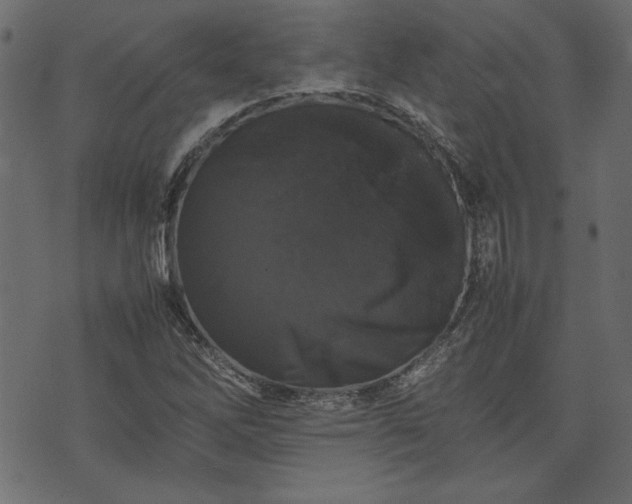 X0000074031262200608281411