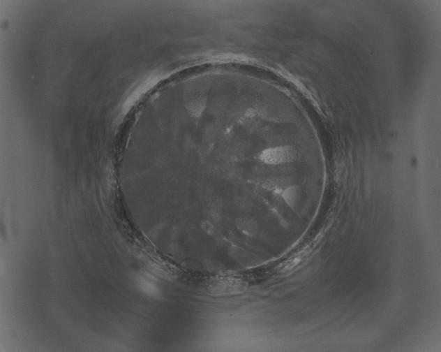 X0000074031263200608281411