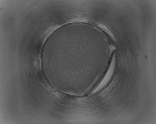 X0000074031268200608281411