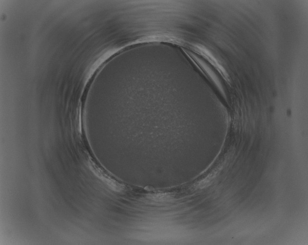 X0000074031276200608281410