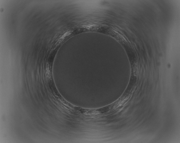 X0000074031298200608281409