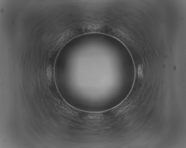 X0000074031299200608281409