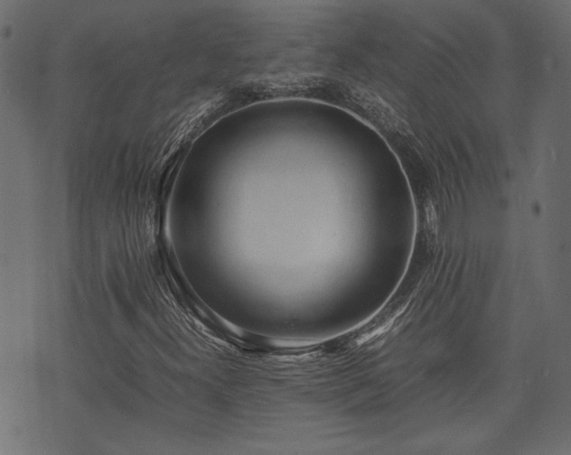 X0000074031300200608281409